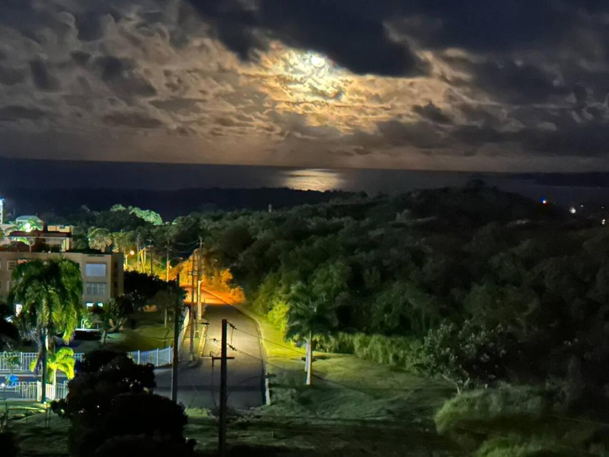 Ocean & Mountains View, Marina, Ferry, Vista Mar, Costa Esmeralda Ceiba المظهر الخارجي الصورة