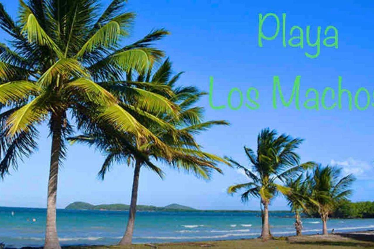 Ocean & Mountains View, Marina, Ferry, Vista Mar, Costa Esmeralda Ceiba المظهر الخارجي الصورة