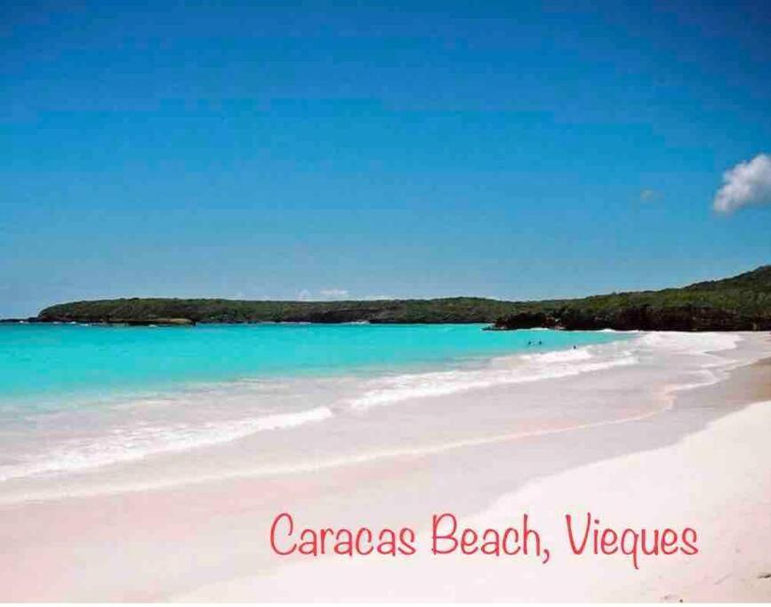 Ocean & Mountains View, Marina, Ferry, Vista Mar, Costa Esmeralda Ceiba المظهر الخارجي الصورة